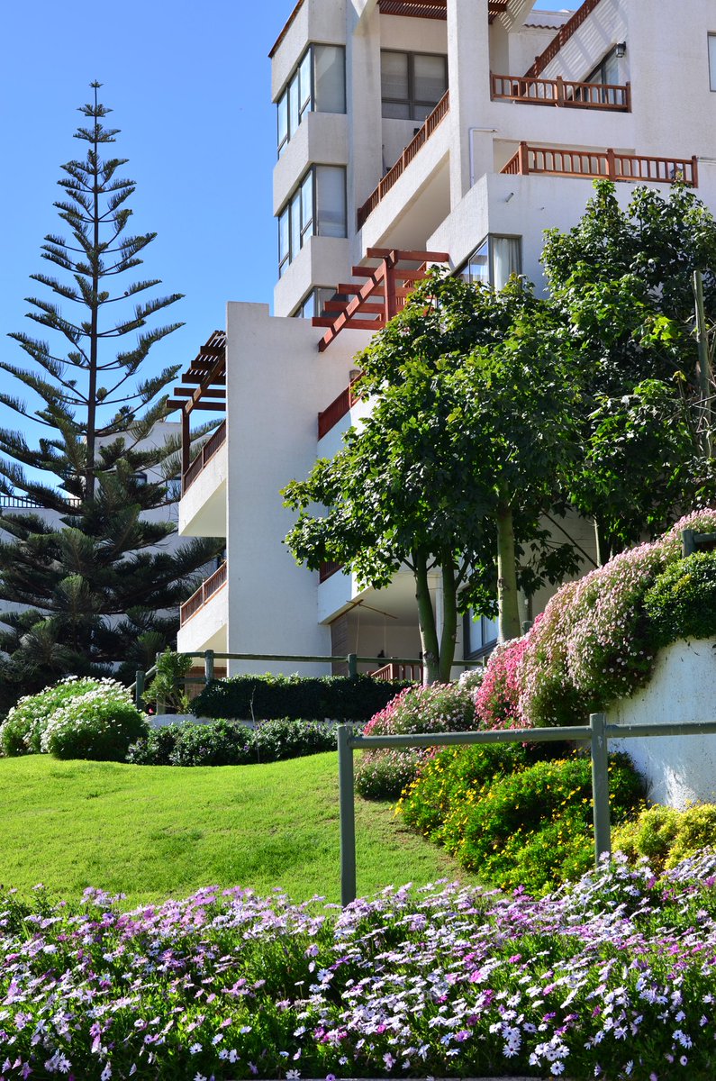 #PuertoVelero #coquimbo #tongoy