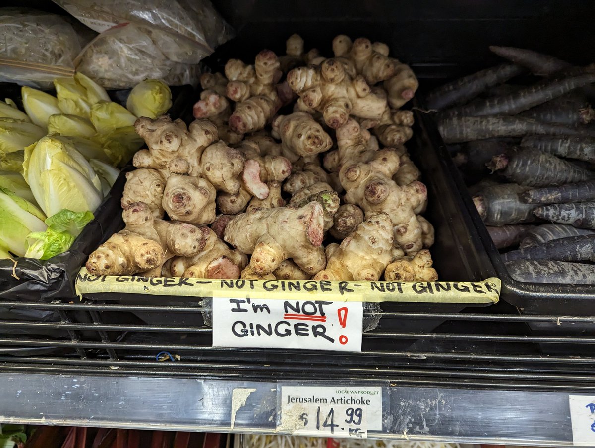 lovesthefeed's tweet photo. Jerusalem artichoke is not ginger!!! https://t.co/X8wDc2iqRr