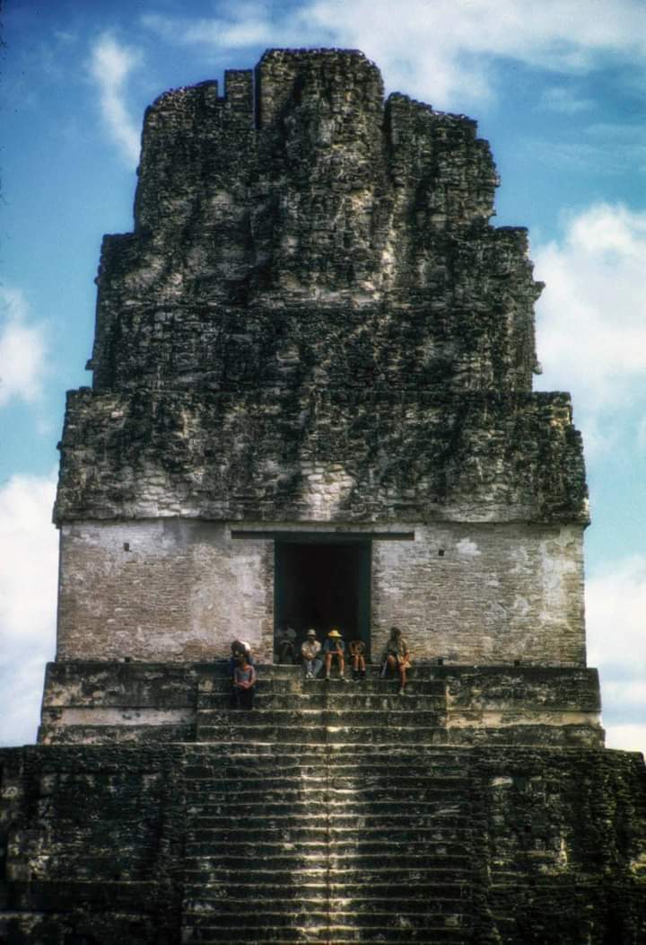 edificiosmayas's tweet photo. #Tikal, #Guatemala en año 1972. 🇬🇹 https://t.co/BO3pzXVYrL