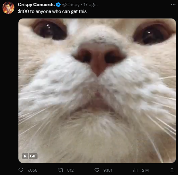 TuPrimaSoyYo's tweet photo. @Crispy 1st try https://t.co/4LiW23zwE5