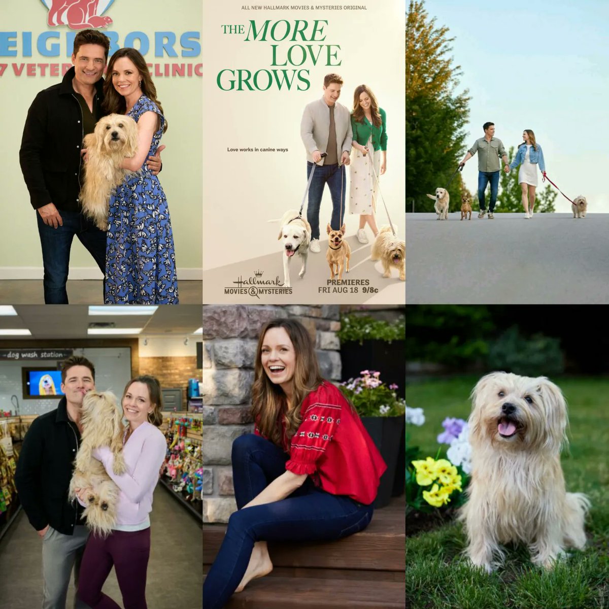 The More Love Grows starring Rachel Boston and Warren Christie premieres on Hallmark Movies And Mysteries in 36 minutes! 🐕🐶 #themorelovegrows