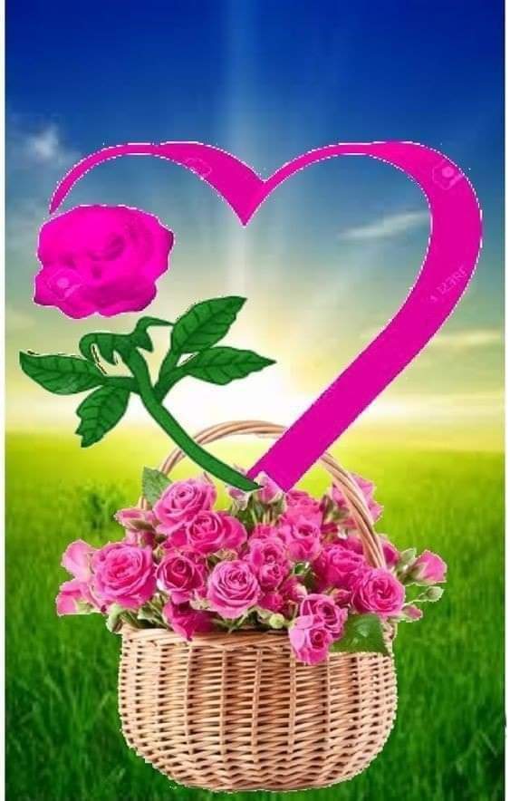sayed84669168's tweet photo. @poppygibsonuk https://t.co/igHKW4FeUa