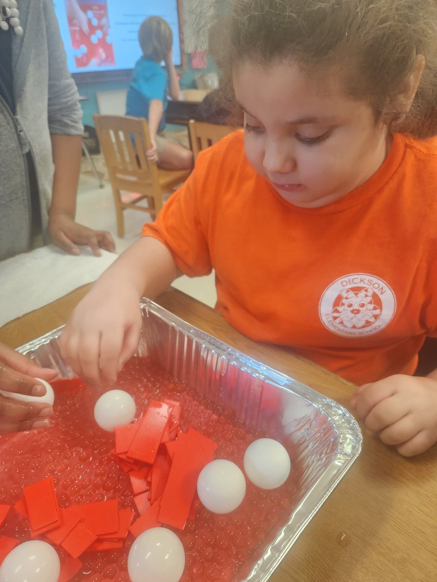 ERD4thgrade's tweet image. Hands-on science is the best science! #blood #circulatorysystem @DicksonTigers