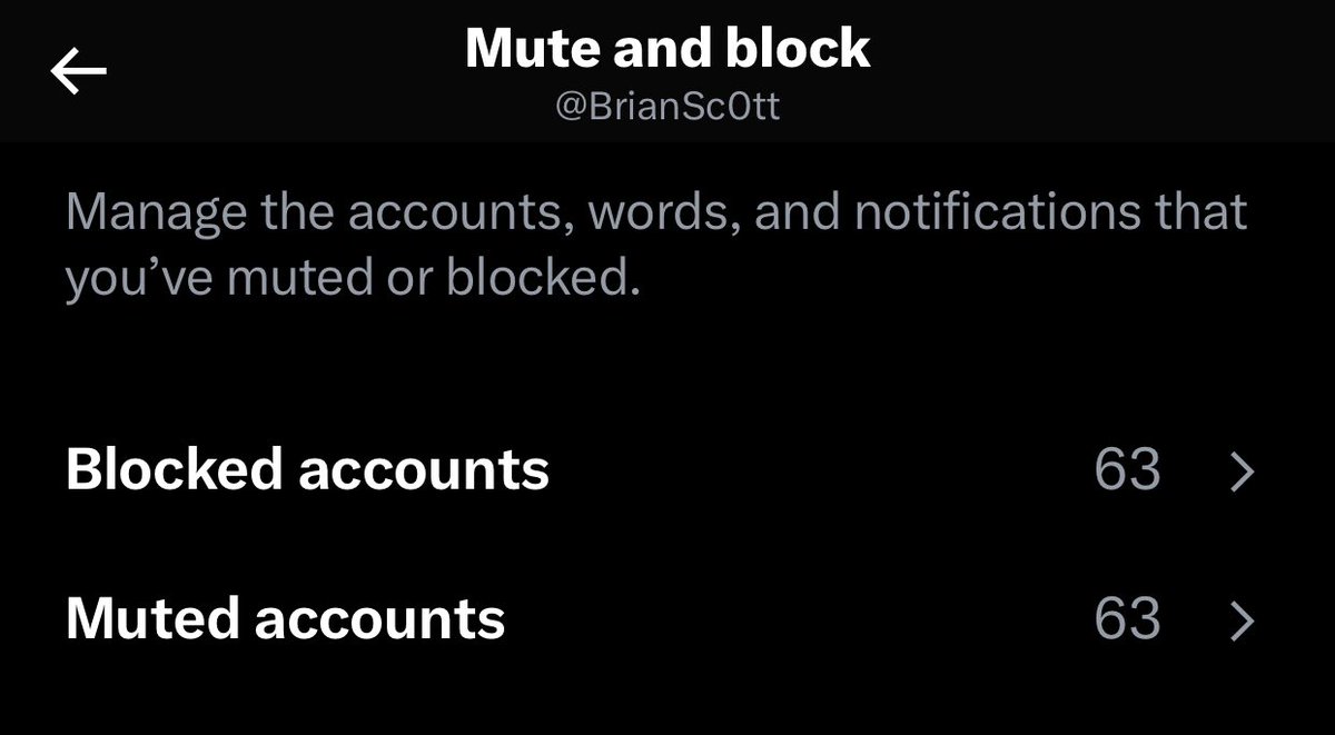 The ultimate combo 
(mute first THEN block)