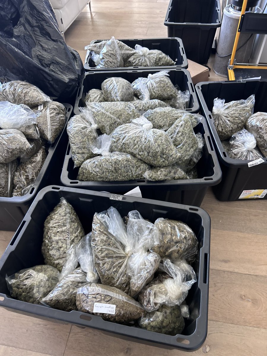 LAPD CMDR E. MORALES tweet media