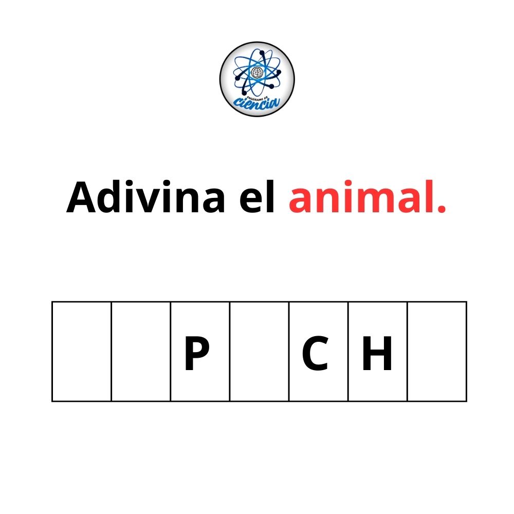 EnsedeCiencia's tweet photo. 🤓 https://t.co/HwQ7YftqiR