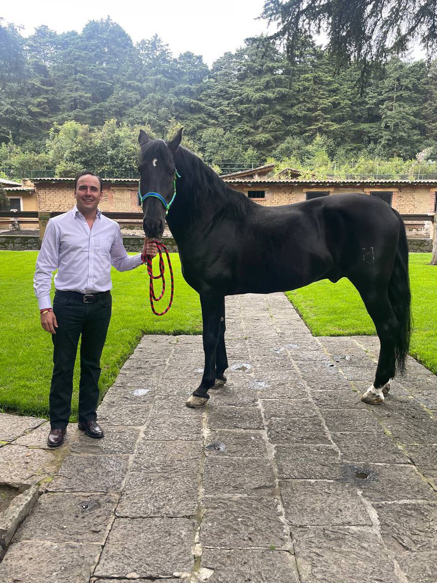¡Cuaco bonito! 🤠🐴😍