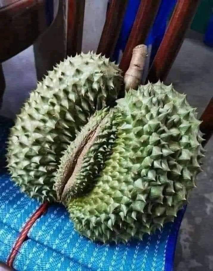 Nature, is this fruit a mother fruit or what?