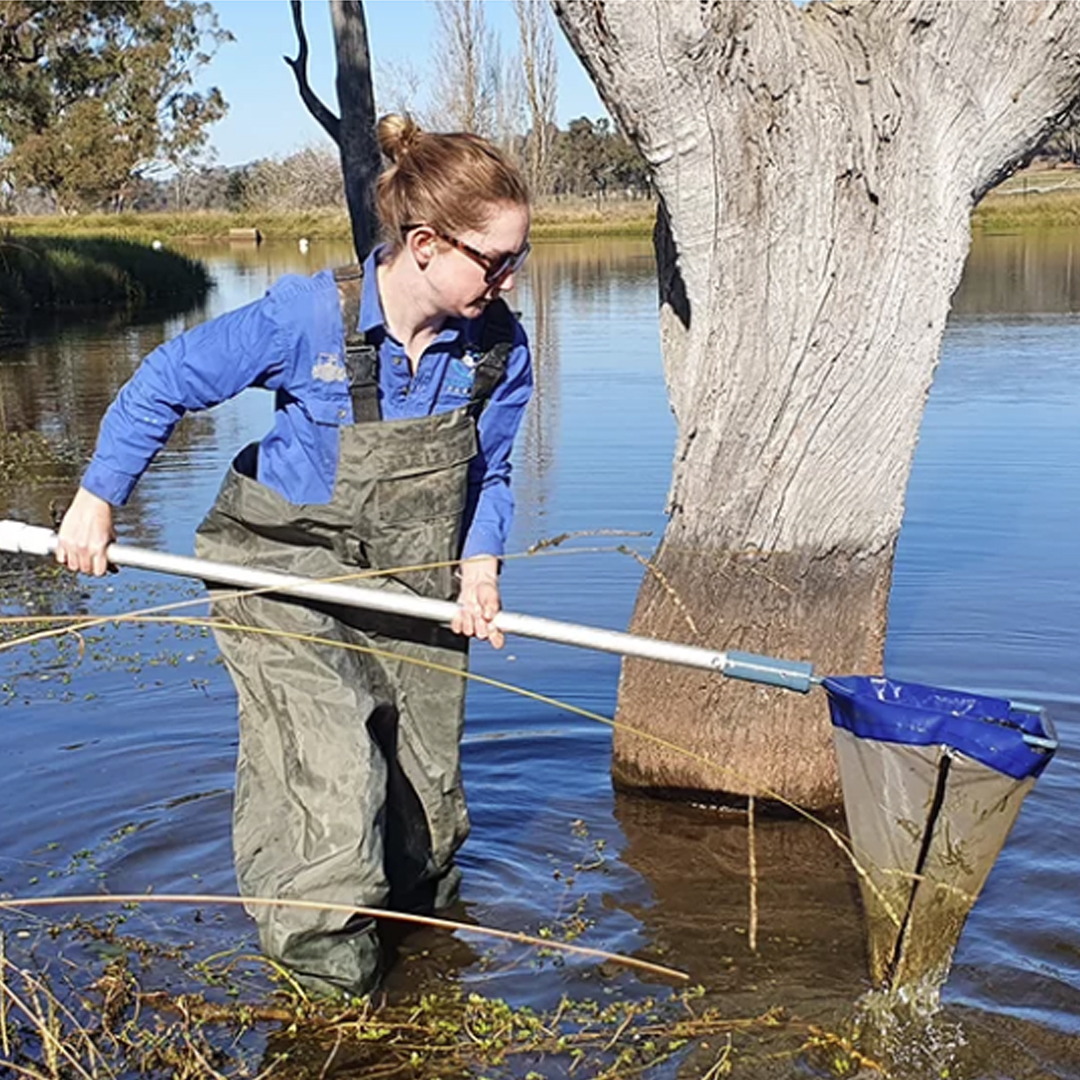 🌱🌊 Join Sustainable Farms and Landcare Australia for the latest research results and resources on enhancing farm dams for production and biodiversity. 

✅ Join us on the 30th August at 12:30pm. Register here: sustainablefarms.org.au/events/webinar…

#biodiversity