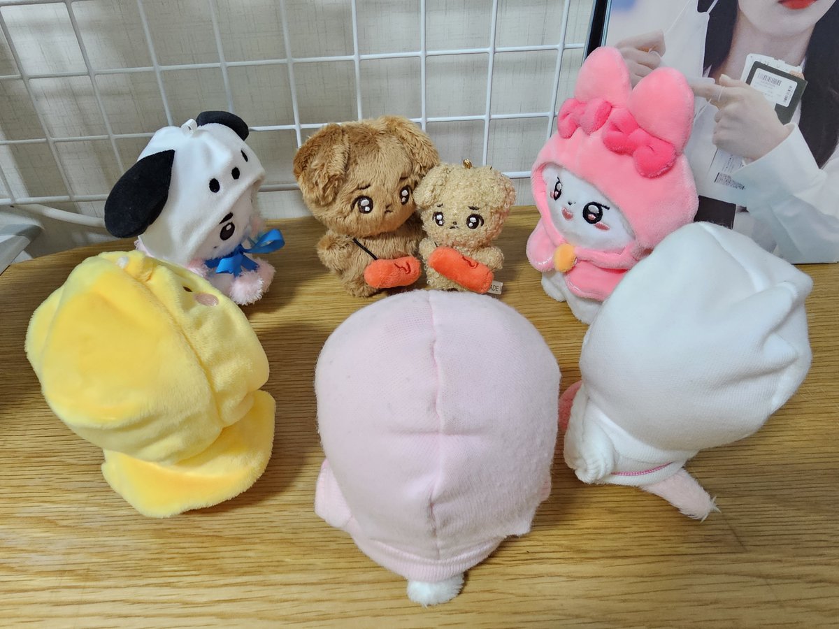 Jelly_Bean_95's tweet photo. #뽀글망추일기 #울망추일기
작고 소중해🤎🤎 https://t.co/MQ9vF91Bqo