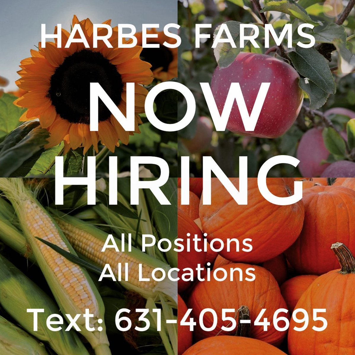 Join the Harbes Farms team! We’re hiring for all positions &amp; all locations. Text us at 631-405-4695 NOW!