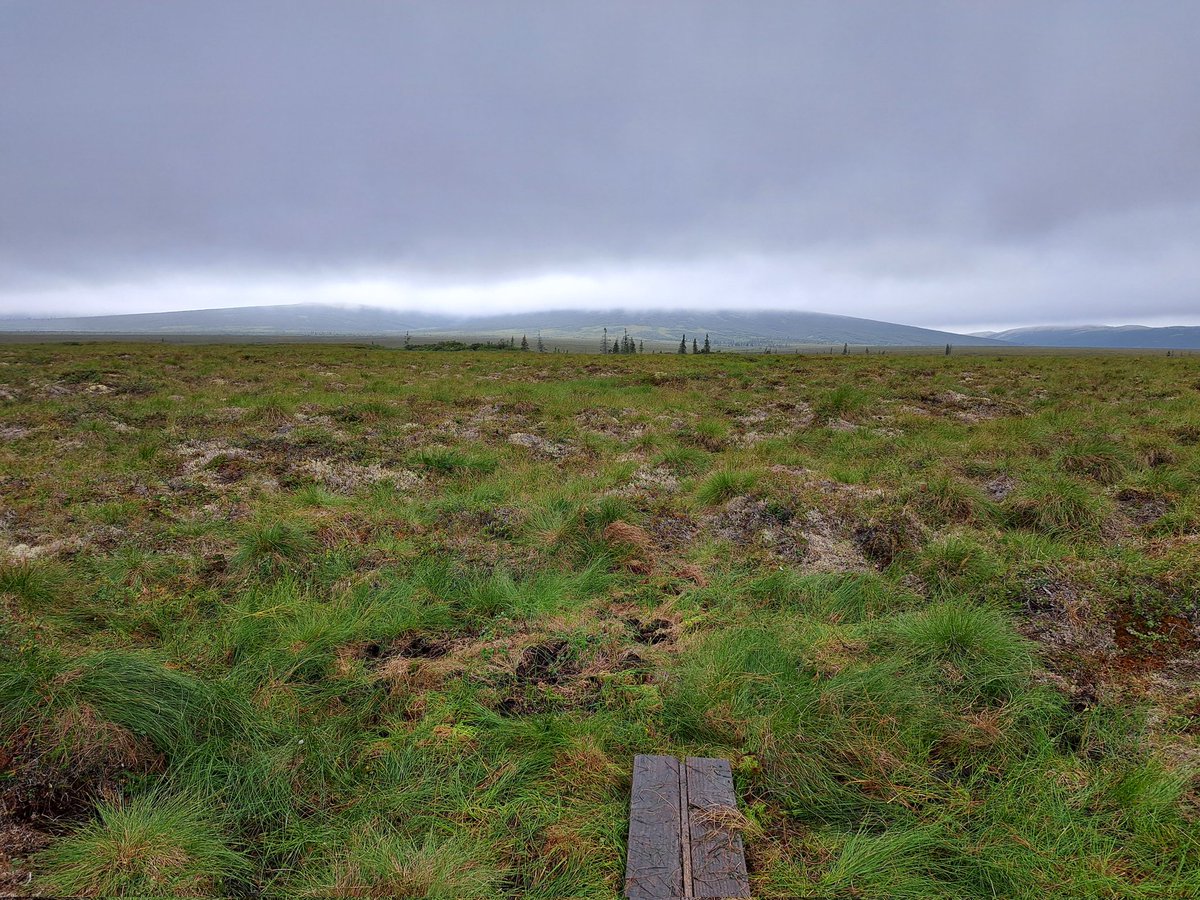 Dr. Sigrid Dengel tweet media