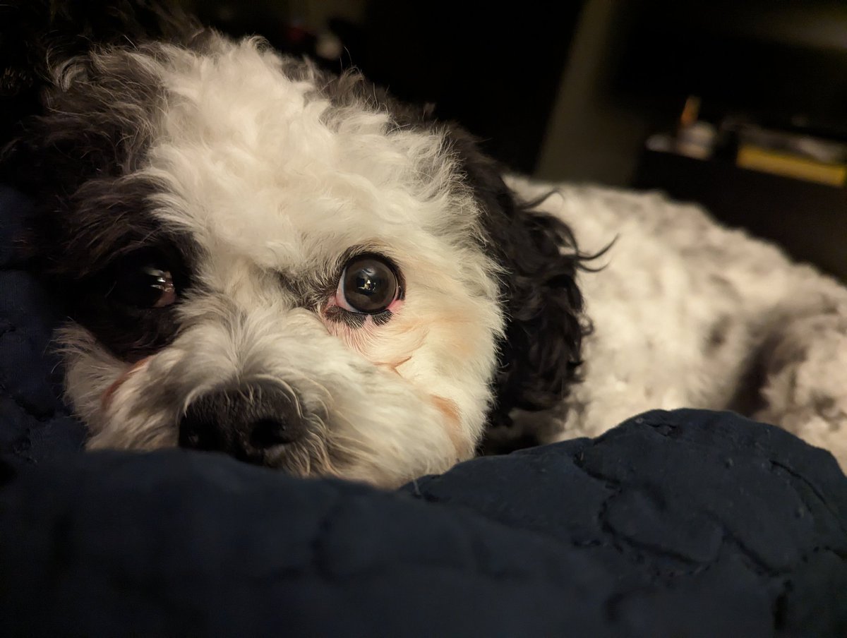 Goodnight