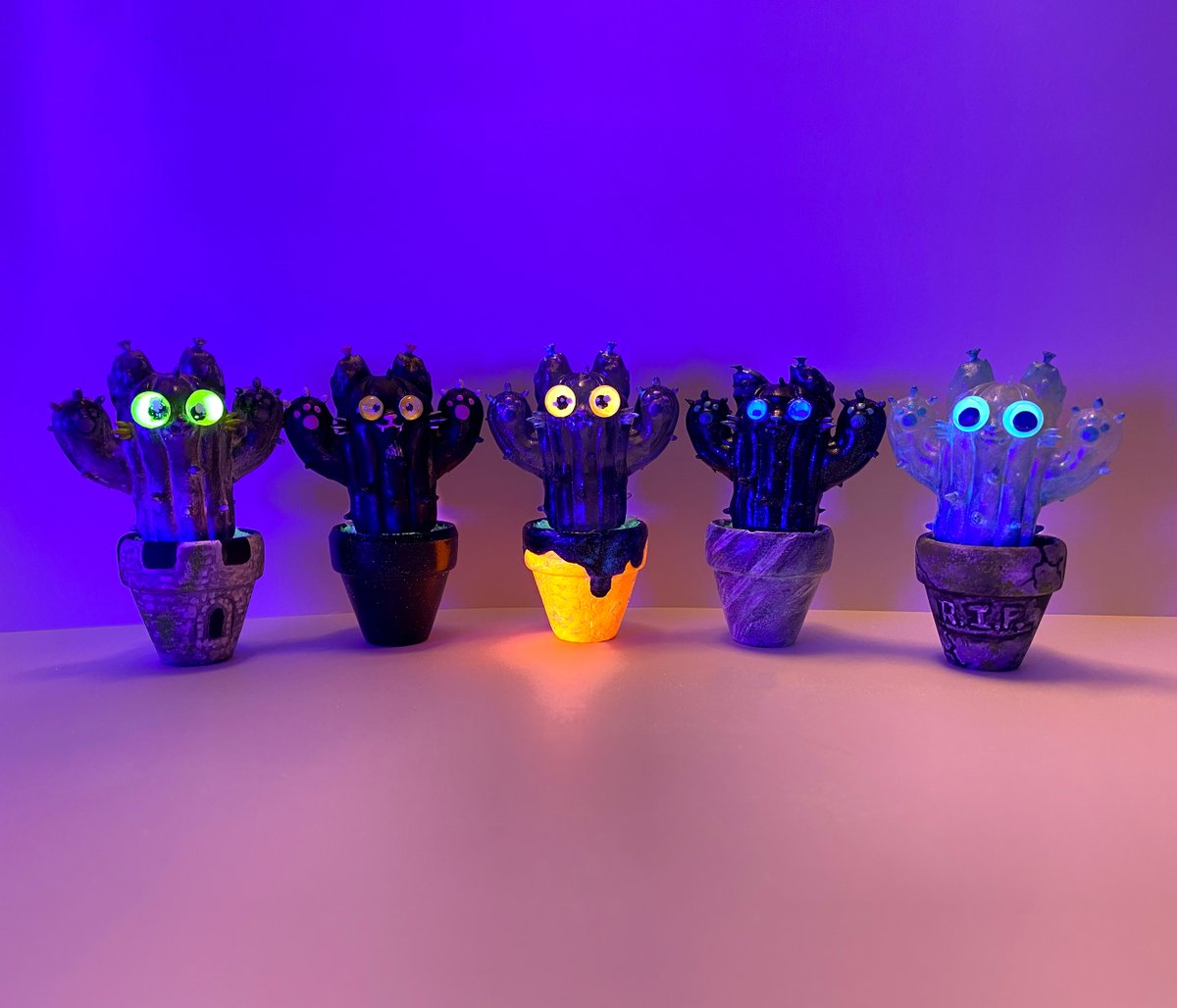 🚀RocketCatRescue🐈 tweet media