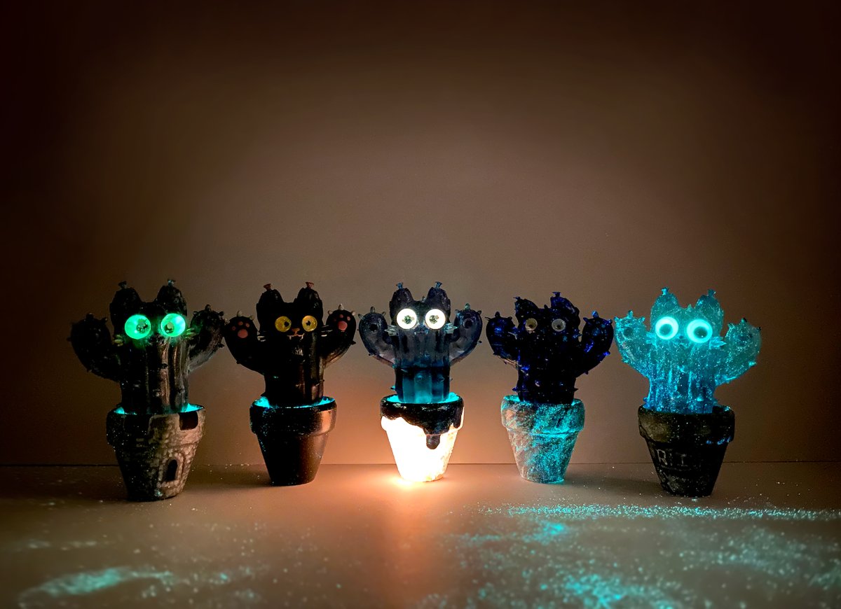 🚀RocketCatRescue🐈 tweet media