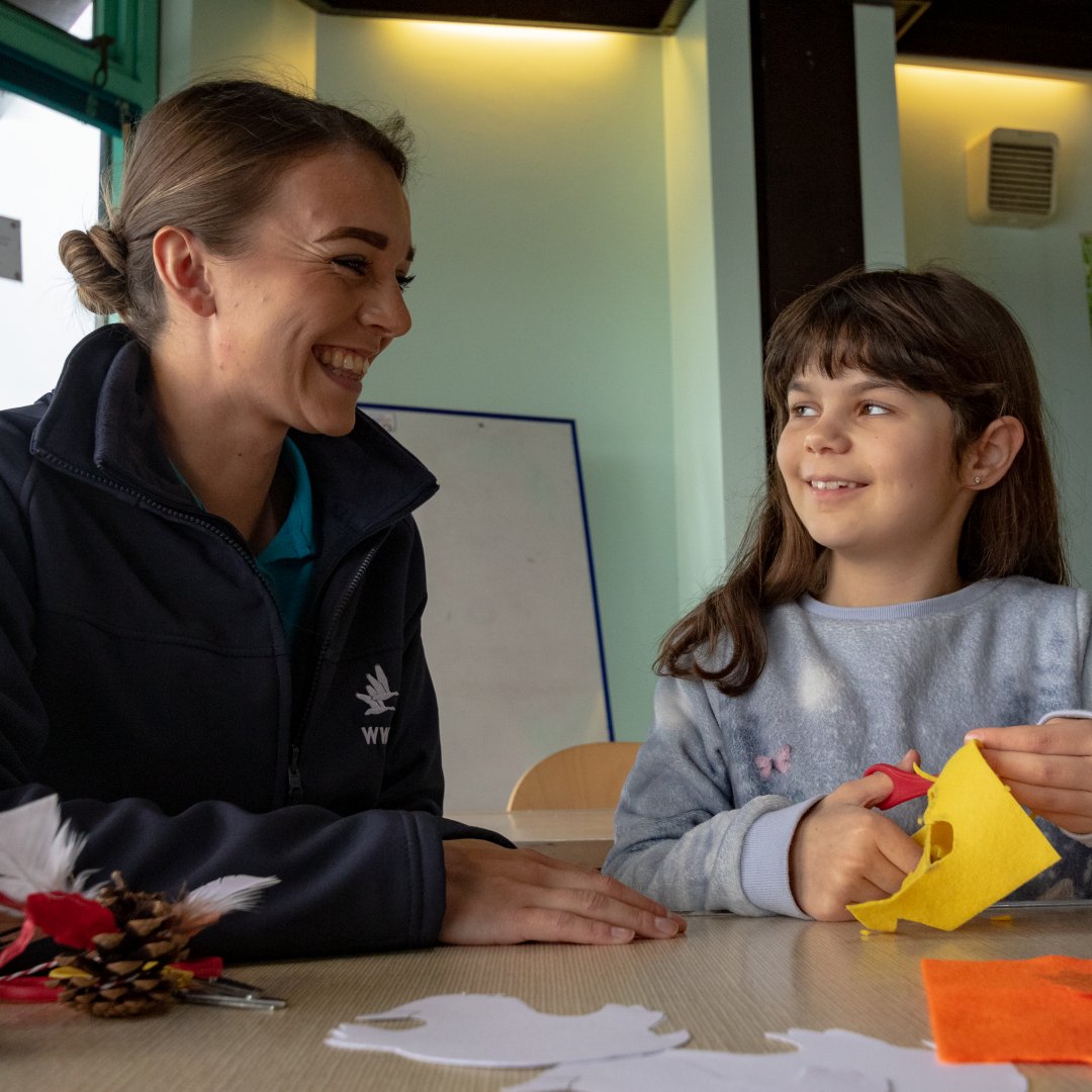WWTCastleEspie's tweet photo. Planning a fantastic family day out before the end of summer? Our latest blog post has you covered! 😊🦆

Discover how you can have an action-packed #August at #WWTCastleEspie 👉
https://t.co/N44Tijtvww 

#NI4Kids #EmbraceAGiantSpirit #VisitAND #LoveAND #DiscoverAND https://t.co/OZmpr9eGEX
