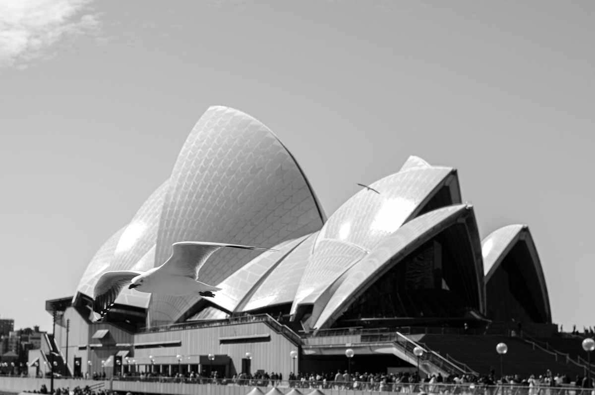 EricHan97915179's tweet photo. Sydney.. https://t.co/lnwhlTwCBx