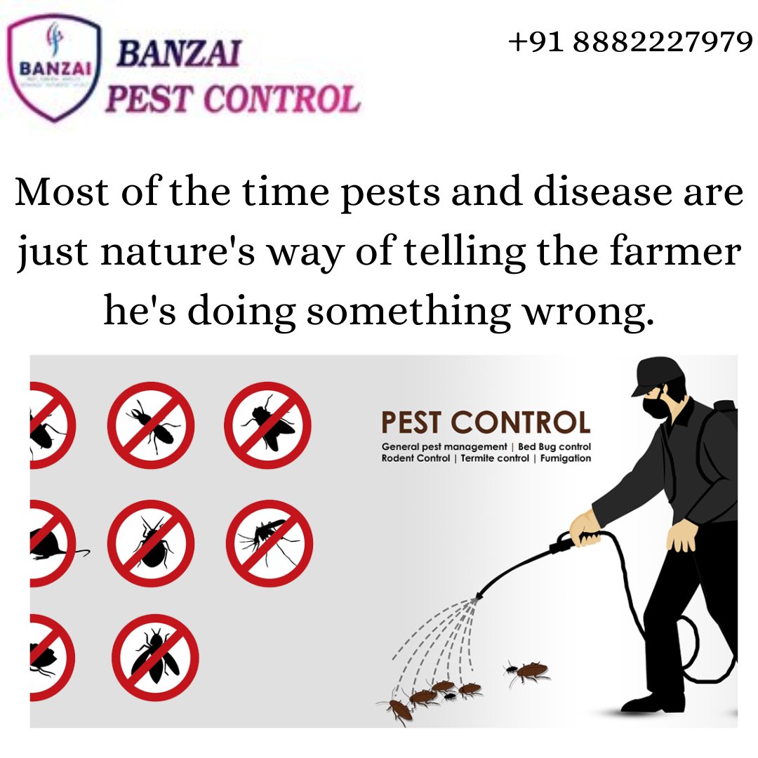BanzaiPest_'s tweet photo. 👉 Most of the Time #Pests and Diseases are Just Nature's way of telling the #Farmer He's Doing Something Wrong
👉 Book An Appointment Today!
.
#pestcontrol 
#BanzaiPestControl
📞 +91-8882227979/9355799799
📧 info@banzai.in
🌐 https://t.co/dJgSgoTPzp https://t.co/WJt7mXn8wq