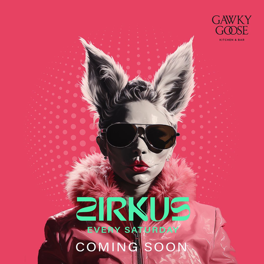 The Zirkus is coming to town 🎪

#zirkus #gawkygoose #bangalore