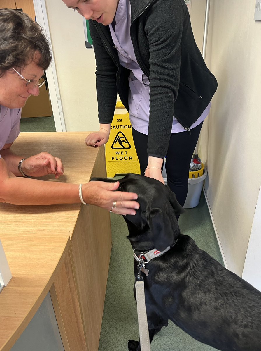 HertsFireDog's tweet photo. A busy day yesterday with 2 #FireInvestigations to attend but before that it was VIP check up time at the vets for #FIDog Loki.
#VetCheckUp #TreatTime #FussTime https://t.co/jYtUJevxYq