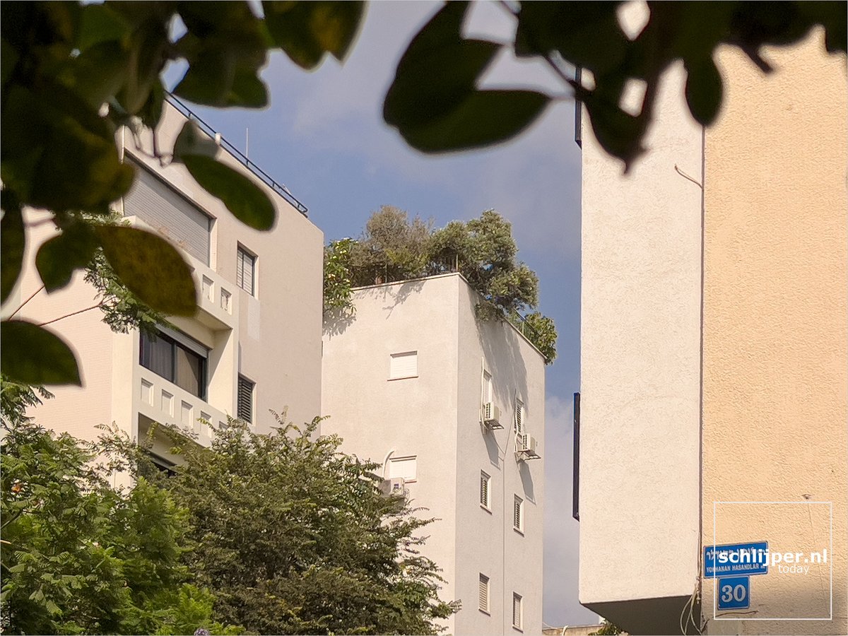 schlijperisrael's tweet photo. Where: Tel Aviv, Avoda
When: 15 08 2023 16:02
What: #greenroof #groendak https://t.co/Q1K0q5LPo9
