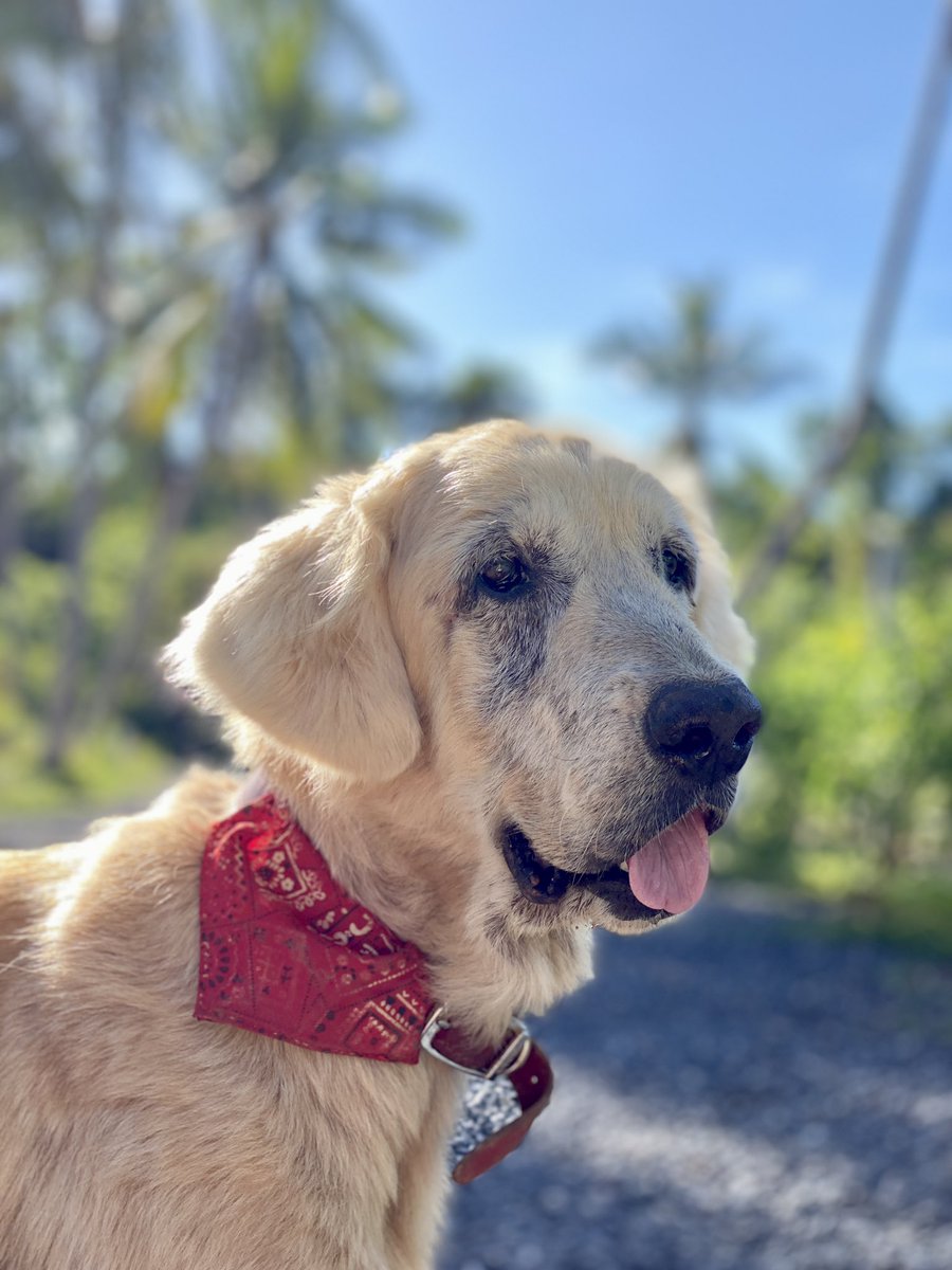 The best girl there ever was 🥰