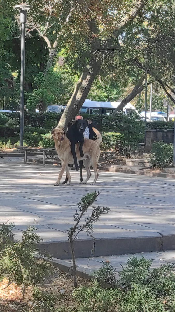 Yok aşkım ya ben öyle sarmaş dolaş sevmem dedikten sonra sevgilime uyguladığım temas