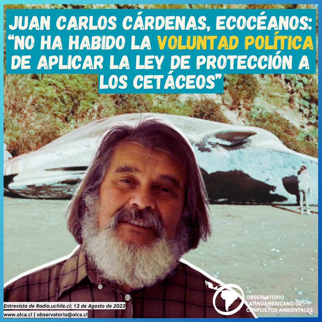 🐟 El director de Ecocéanos, Juan Carlos Cárdenas, criticó la falta de voluntad política para aplicar la Ley de Protección a los Cetáceos o Santuario de Ballenas, lo que ha traído que especies como la ballena Franca Austral estén en peligro de extinción
🔹 olca.cl/articulo/nota.…
