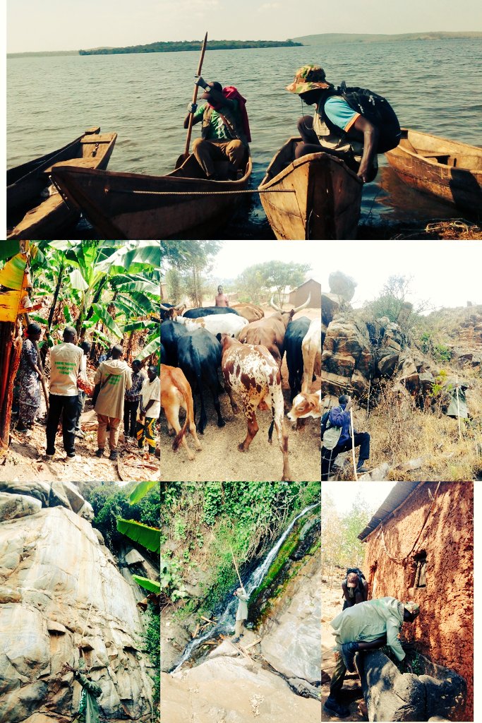 ExploreRda50's tweet photo. #Happiestweekend
#TemberaKirehe
#VisitKirehe

Ejo  20/8/2023
 9h00AM  @KireheDistrict 
Enjoy #RunonkoChallenge #Milktasting
#Fishgrillig  #NyamulindiraHiking #BoatRiding
Info 0788466624
@RDBrwanda @cakamanzi
@rangira @NzirabatinyaMo4 
@L_Arsene14 @dr_dash250 @byukavuba @Rw__OT https://t.co/ra9xMMWAGo