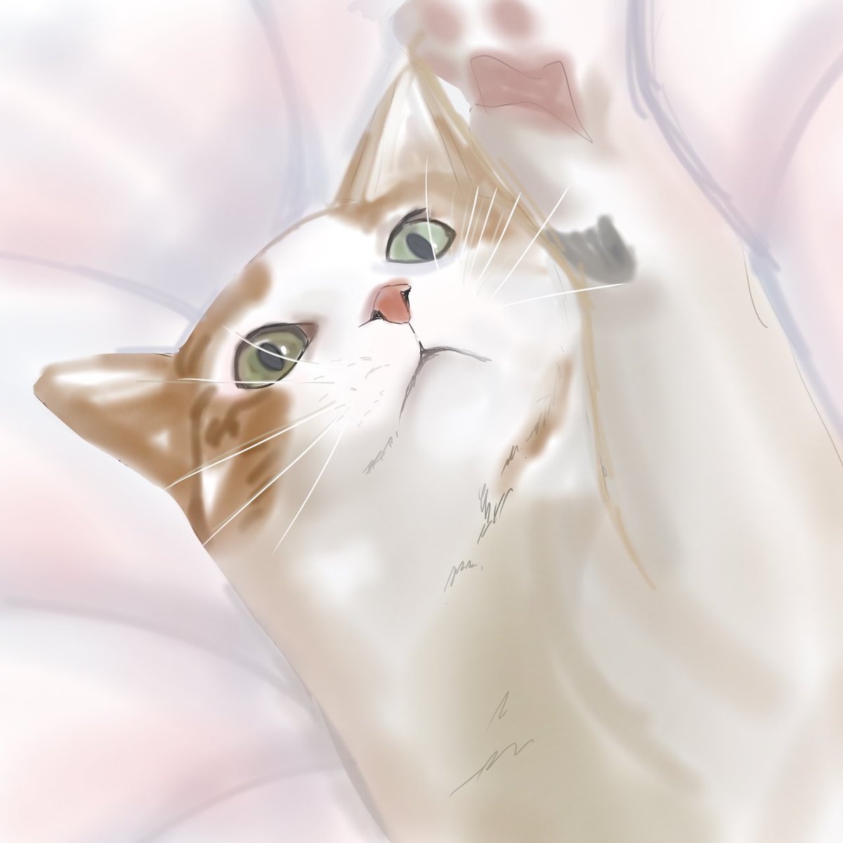 「絵の練習で描いた猫の模写 」|フェイトのイラスト