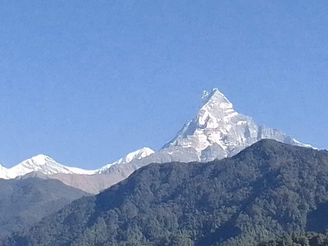 bklamsal's tweet photo. Looming #Himalayas toward sky encourages us to attain blissful wholeness.
#Machhapuchhare #Fishtail #Nepal #holiday https://t.co/Nwyz1j3s5x