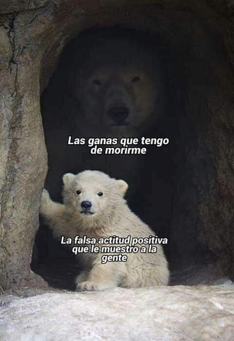 PandaSenpaii tweet media