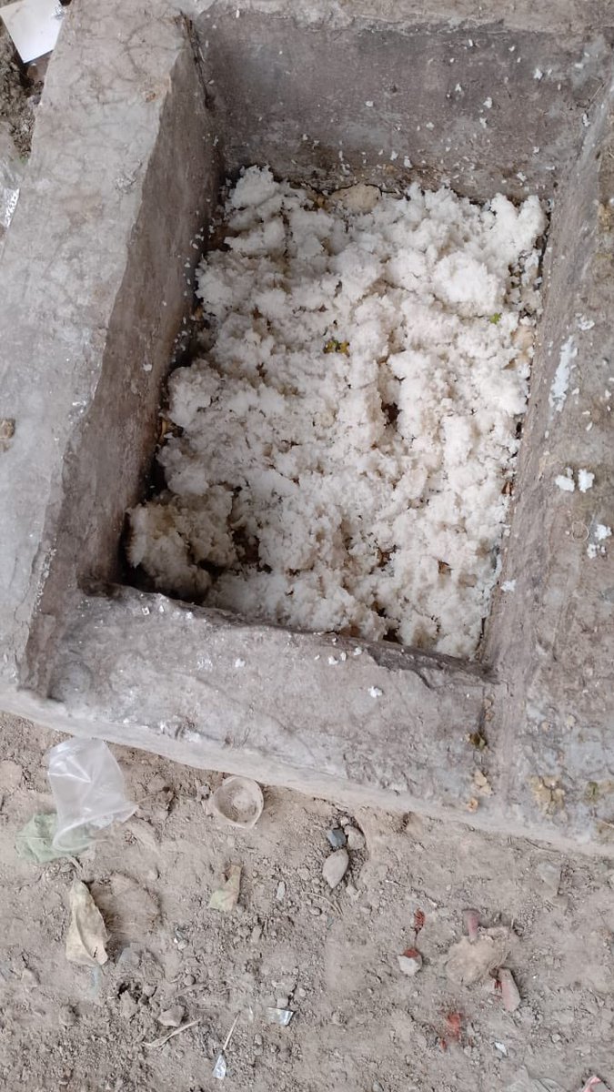 Golf City Plot 8 Apartment Owners Association,Sector75,Noida is feeding stray dogs regularly.
Action be taken against the people &amp; ngo,who feeds stray dogs outside the designated feeding points and if dogs bite anyone,cases should be registered against the dog feeders and NGOs.