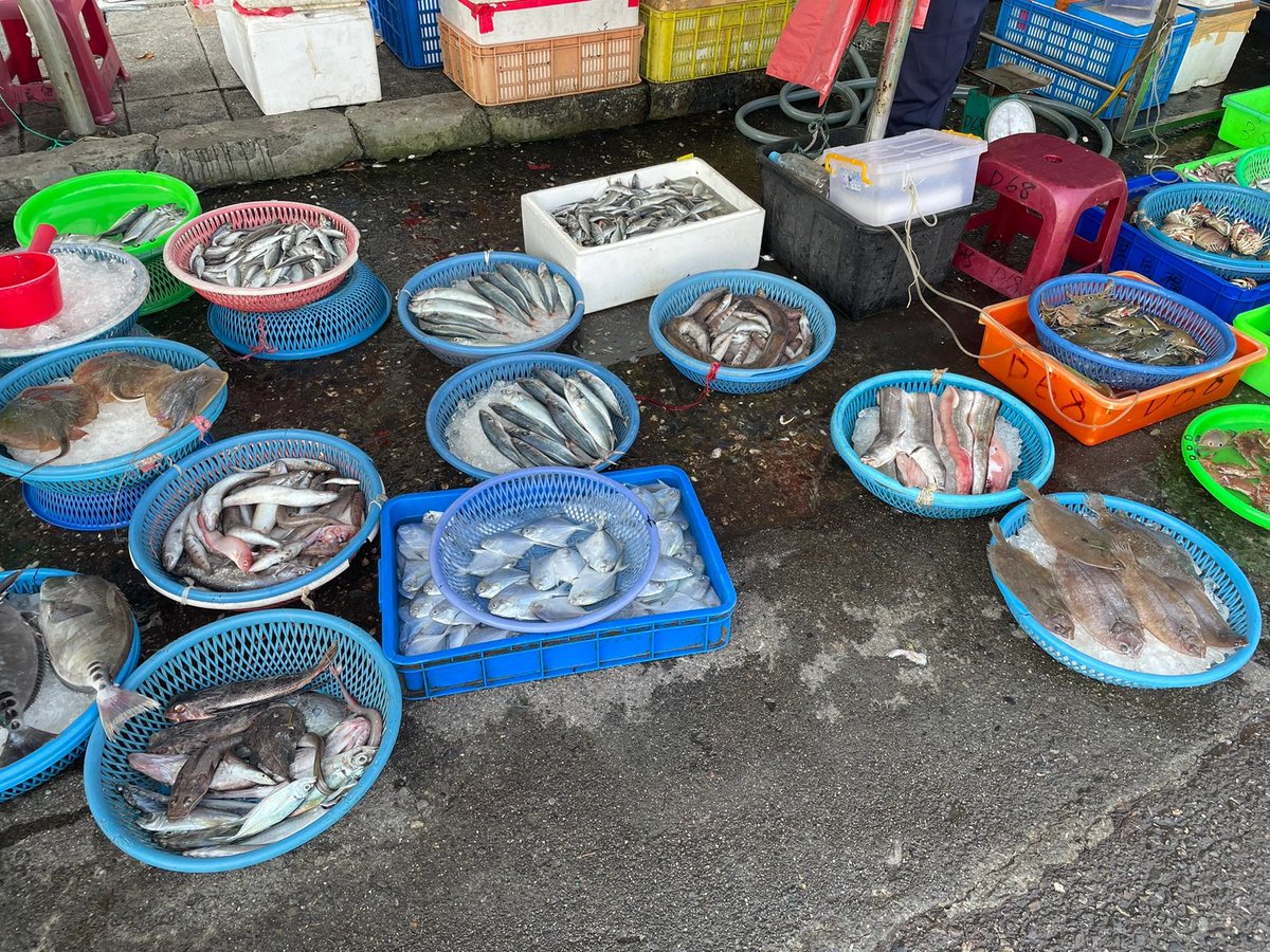 alerixel's tweet image. The weather is good, the mood is good, the body is good, everything feels good, I hope you are better than the same, happy weekend!🧒🏻