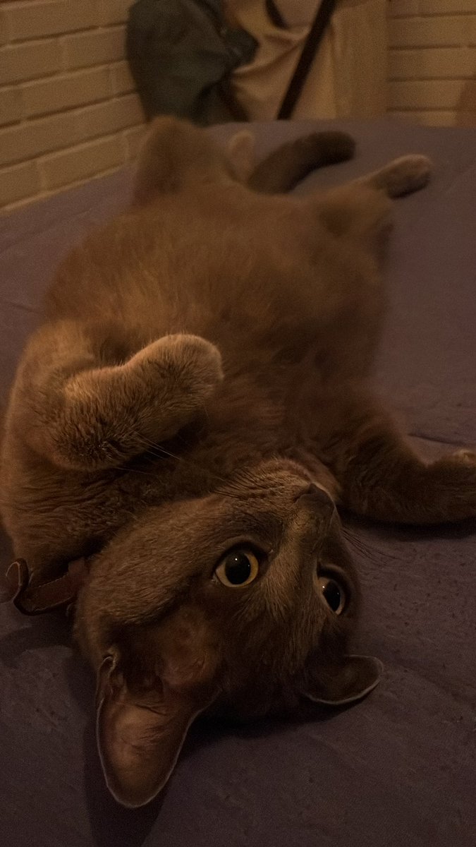 Fer Aragon tweet media