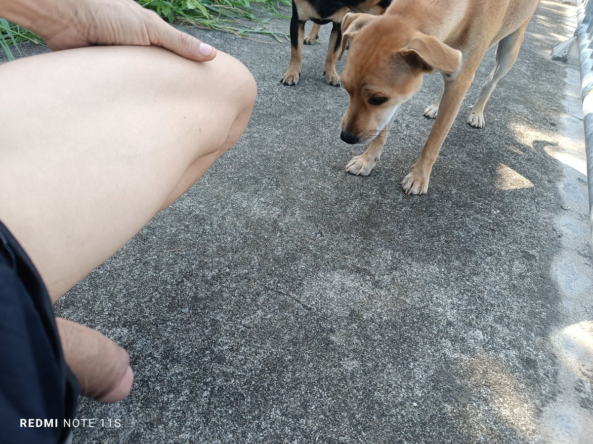Wi802Winai's tweet photo. มองแบบนี คงอยากโดน https://t.co/vSaYRexDoW