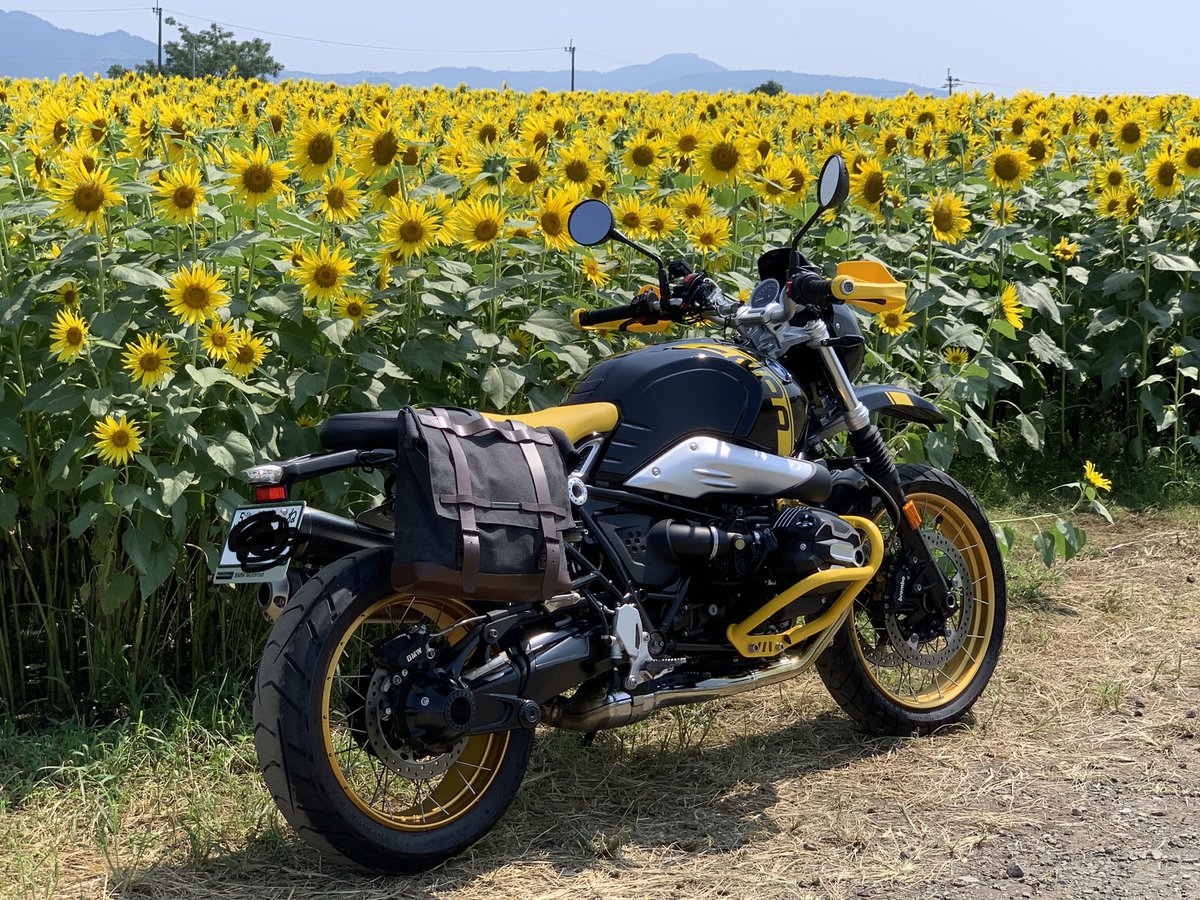 expraidbaja81gx's tweet photo. #バイクの日 は暑いので先週の写真です
向日葵に引き寄せられる
#バンブルビー
#urbangs
#40yearsgs https://t.co/SkmxccZODN