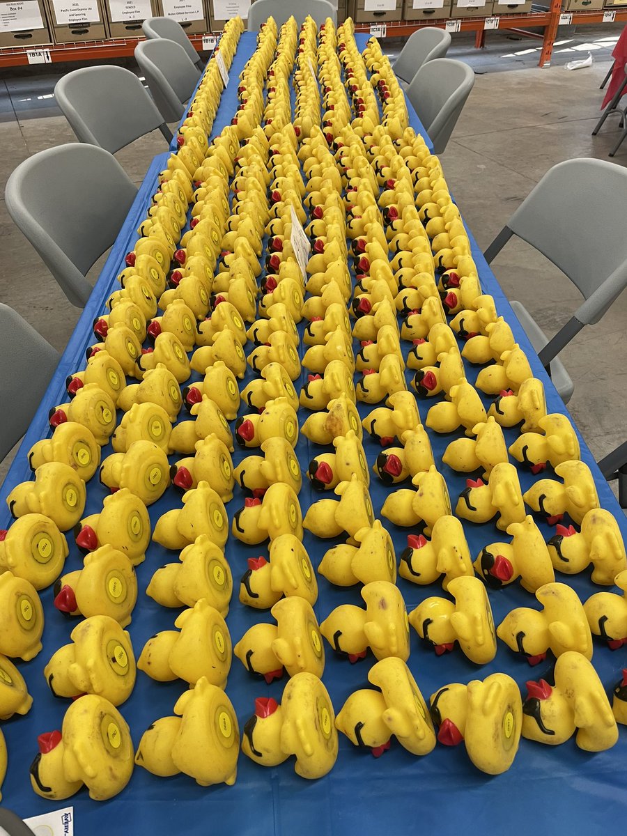 lhellyer's tweet image. Only a few hours left to get your Ducks!
It’s race day tomorrow!

simporafoundation.com/adopt-a-duck