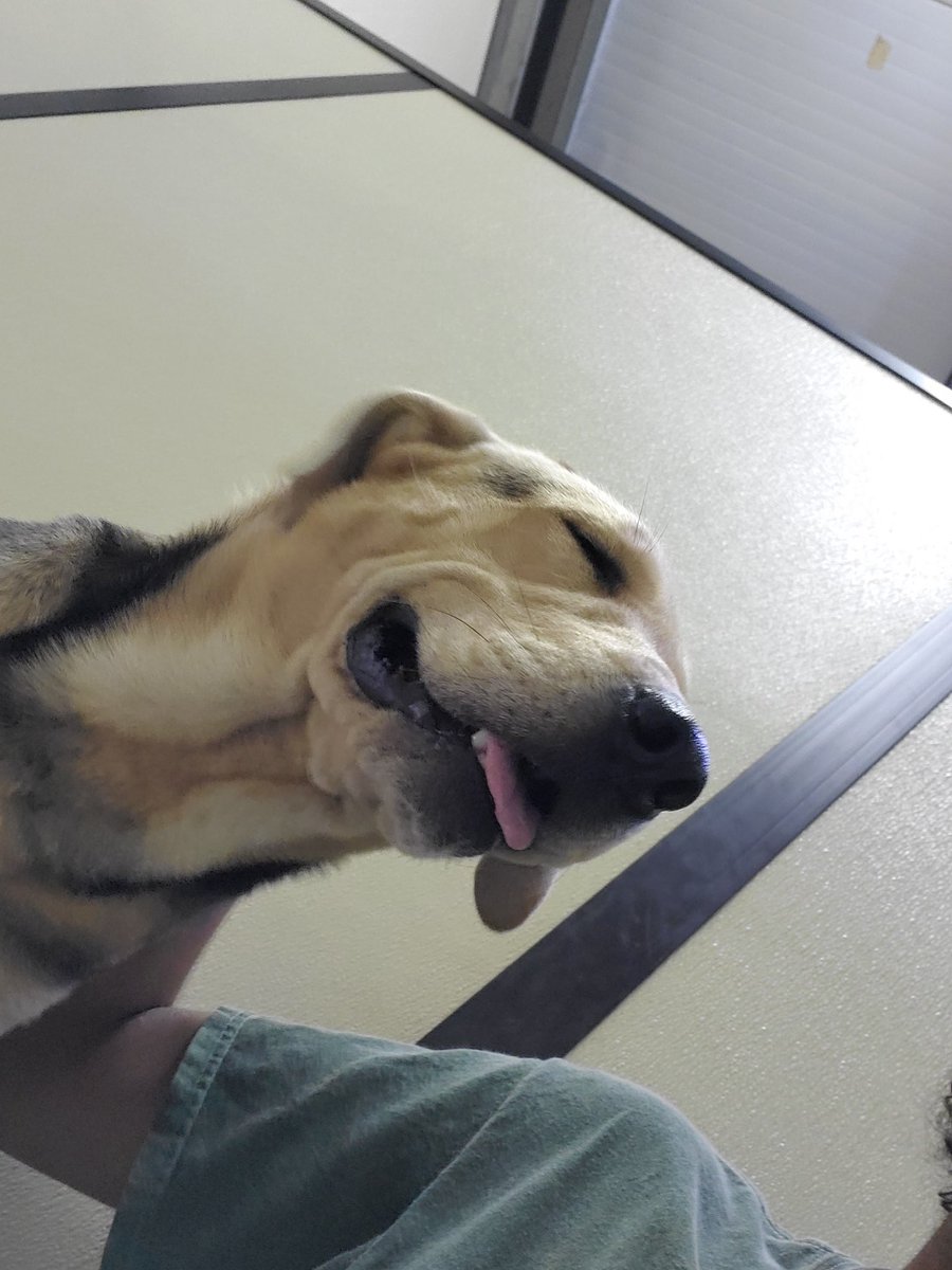 yungbork's tweet photo. ❤️ https://t.co/Qb25ckVyiw
