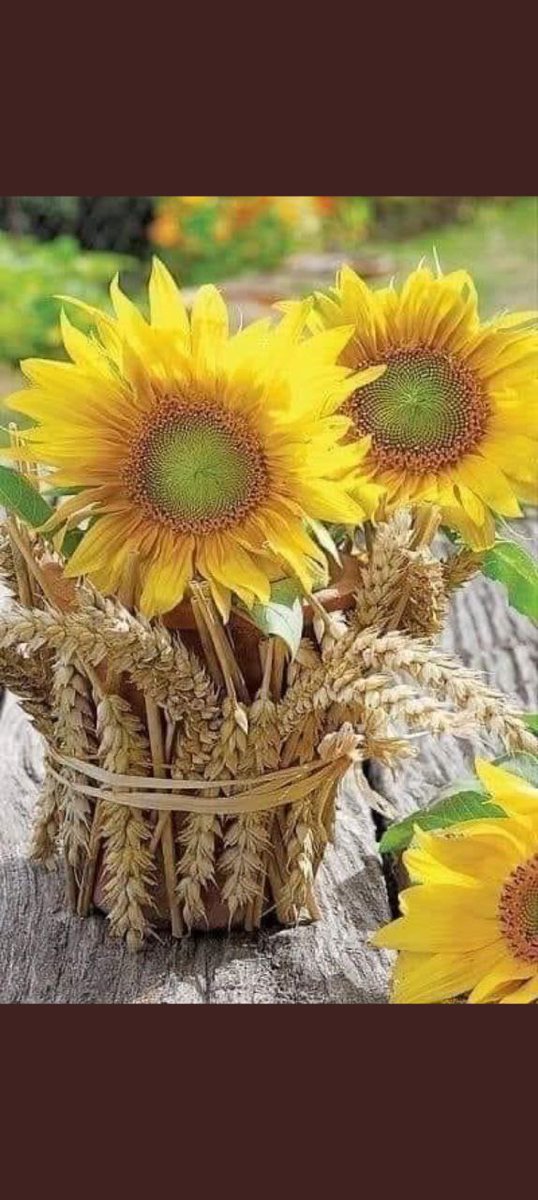 y6QOmcYEtyVlCQi's tweet photo. How to be blessed?
To be grateful, especially to someone who has done you a favor.
So
Who is better with God?
To be grateful to Him ,first of all.
#Selfknowledge
#Godknowledge https://t.co/mYXIu9pLrM