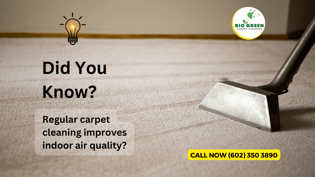 Did you know regular carpet cleaning improves indoor air quality? Our green service deep cleans carpets, removing 98% of common allergens. Schedule an appt & breathe easier! 
#CleanAirQuality
#HealthyHomeEnvironment #AllergenFreeHome #CleanCarpetsClearAir #ByeByeAllergens