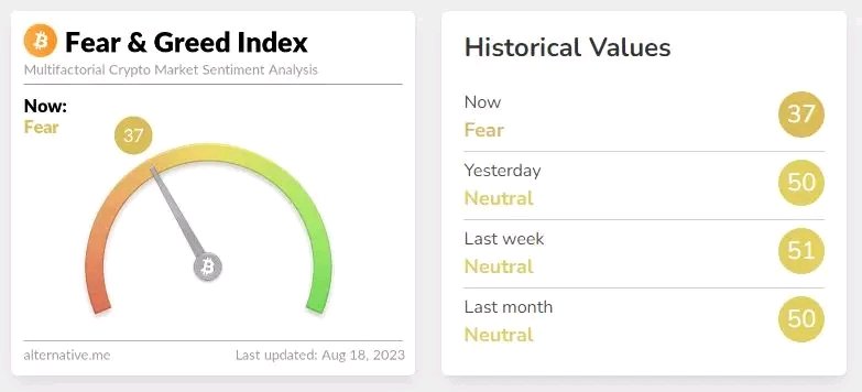 Crypto Thypoon ↙️ 𝕏Ð tweet media