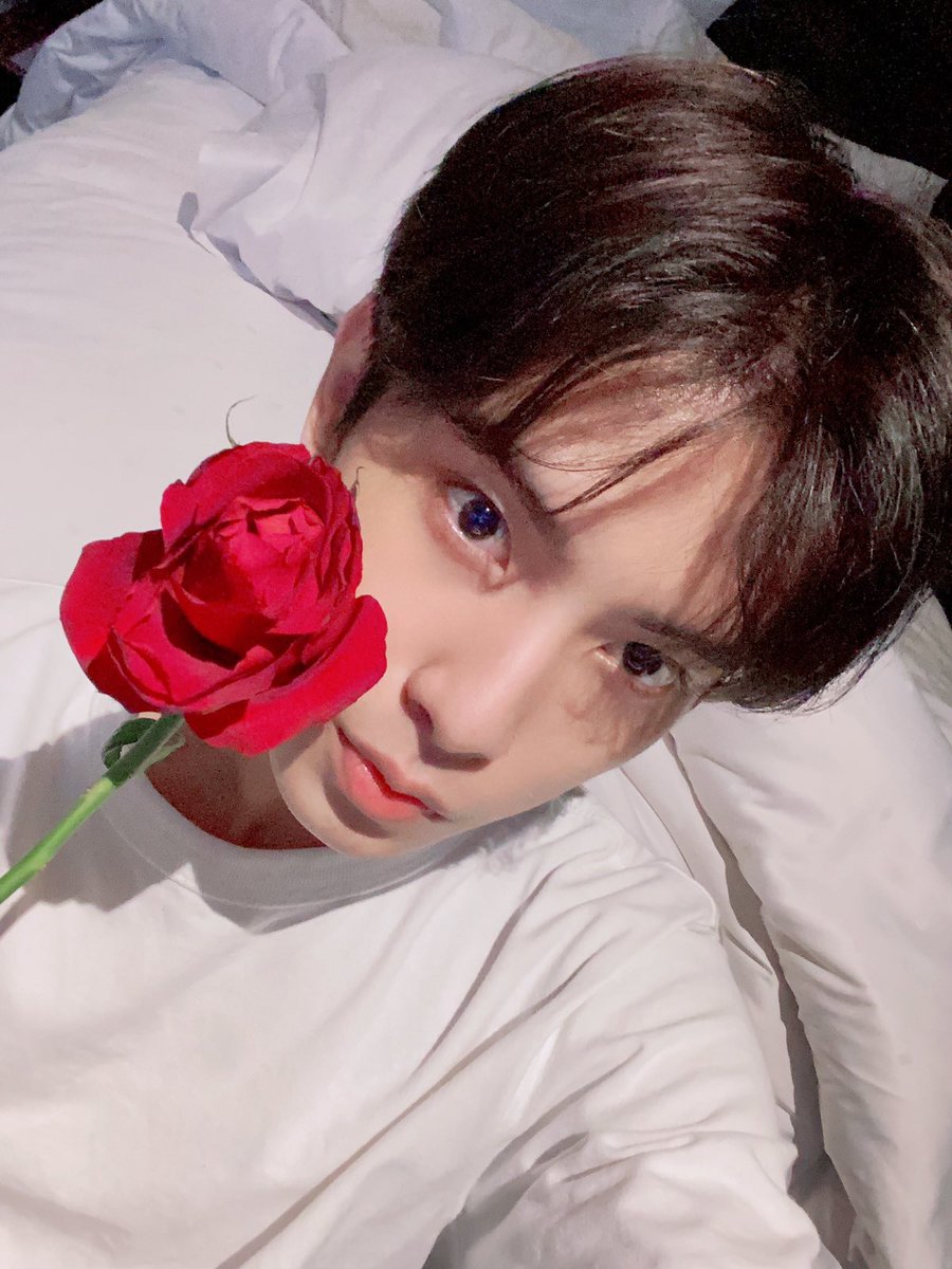 HORI7ON_twt's tweet photo. [🐶] Thanks for 🌹
Let’s go Mexico ����❤️

#HORI7ON #호라이즌 #KYLER #카일러 https://t.co/oCgb7ox4nG