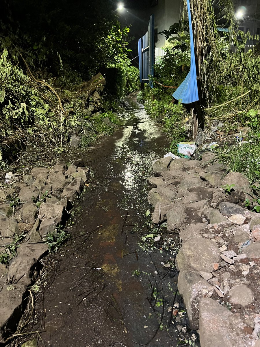 Rohit Menon tweet media