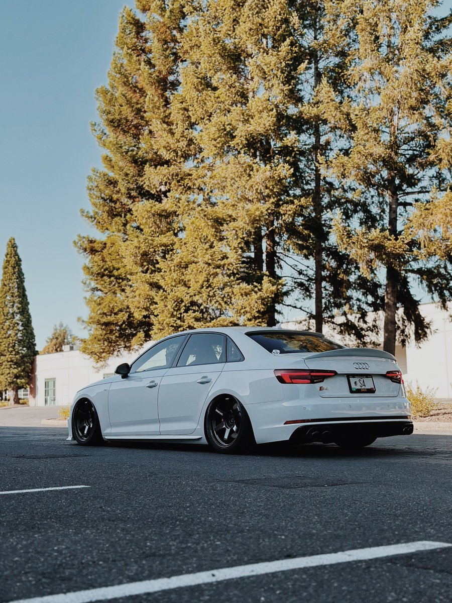 rwdconnor's tweet image. 🥩