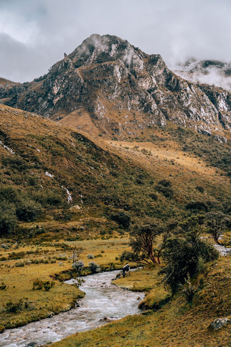 amanda • travel blogger tweet media