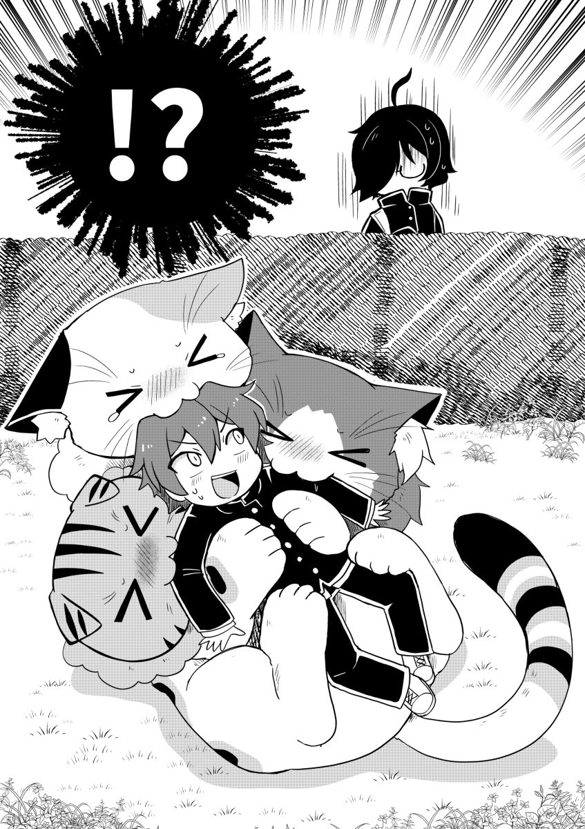 (2/6) 