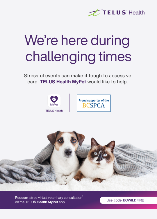 To those with furry family members impacted by the #BCWildFires, our veterinary care experts and the <a href="/BC_SPCA/">BC SPCA / BCSPCA</a> would like to help: Download and register for <a href="/TELUSHealth/">TELUS Health</a> MyPet and enter code BCWILDFIRE to access a free consult with a veterinarian or vet tech. #TeamTELUS