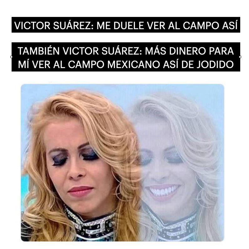 Debemos luchar por nuestro campo

#MiéntemeComoSiempre
<a href="/_SemillasdeVida/">Semillas de Vida 🌽</a> 
<a href="/victor_suarez/">Víctor Suárez 🇲🇽🇵🇸</a>