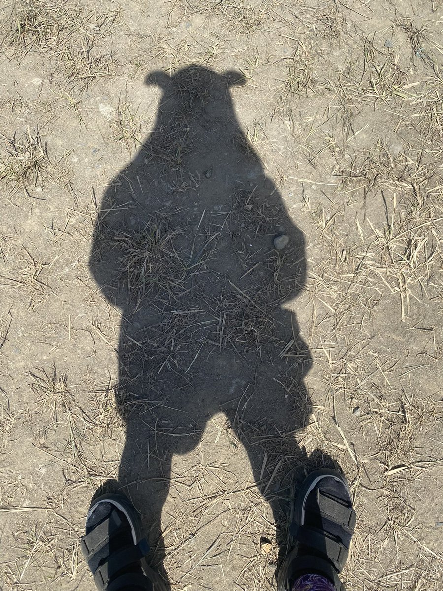 MsMedic_'s tweet photo. らいじんぐさんに行ってました https://t.co/7DJOtM7xG8
